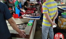 娱乐吃瓜君星图报价,明星片酬背后的秘密大起底